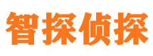 松桃市侦探调查公司